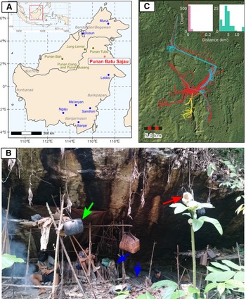 Deep Ancestry Of Collapsing Networks Of Nomadic Huntergatherers In