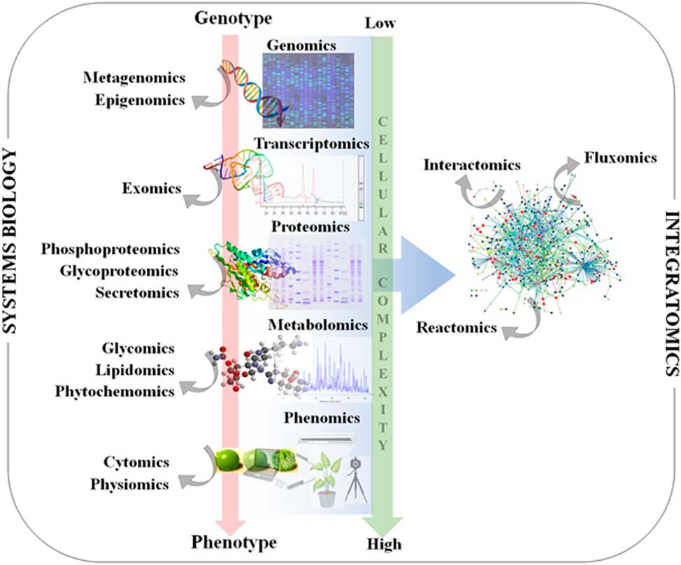 Omics In Weed Science A Perspective From Genomics Transcriptomics