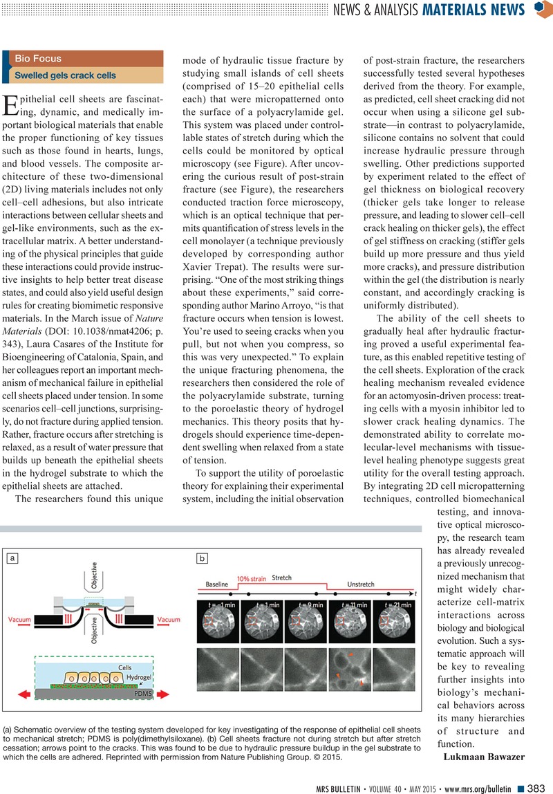 Image of the first page of this article