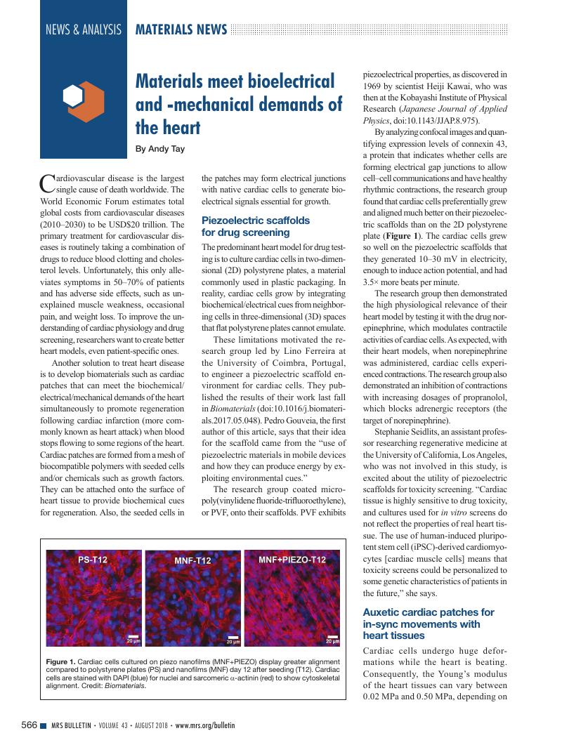Image of the first page of this article