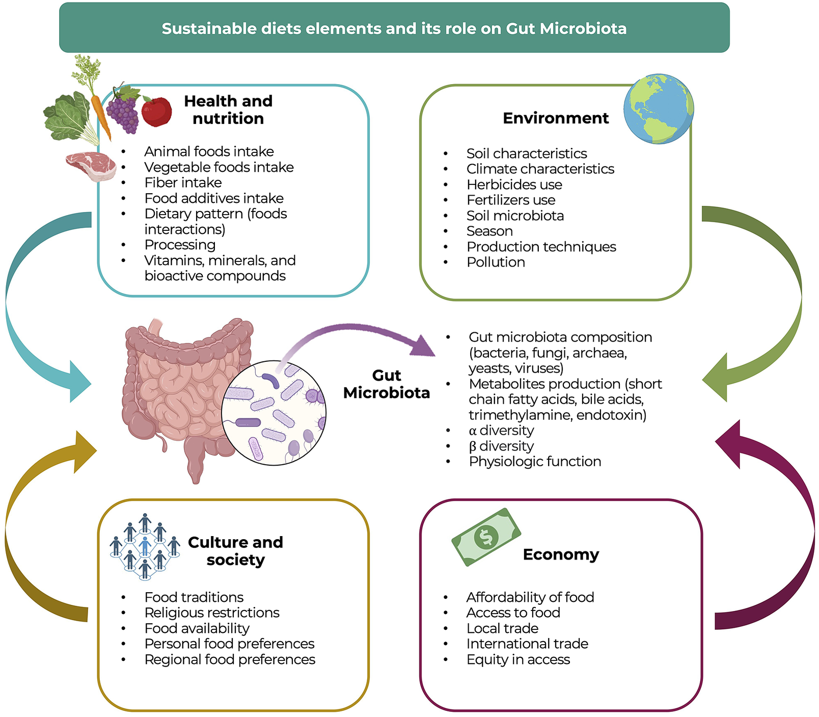 Towards the characterisation of sustainable diets gut microbiota composition and functions A narrative review Gut Microbiome Cambridge Core