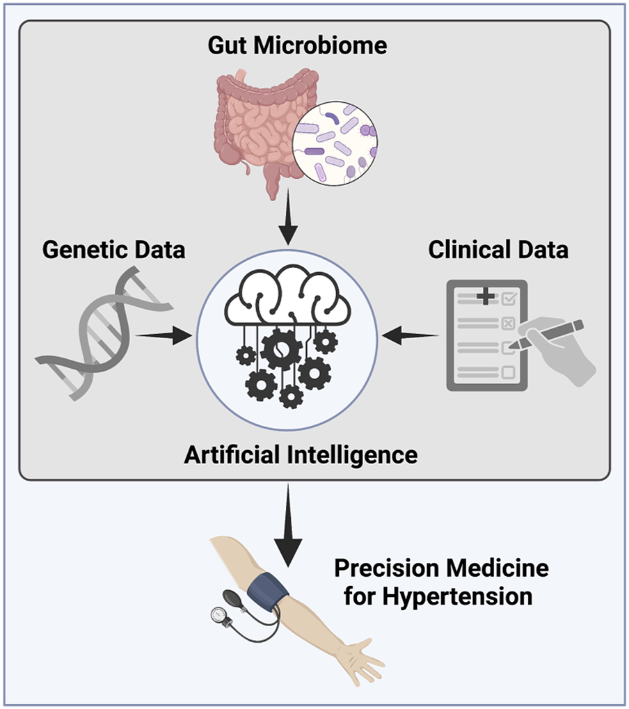 graphical abstract for Combating hypertension beyond genome-wide association studies: Microbiome and artificial intelligence as opportunities for precision medicine - open in full screen