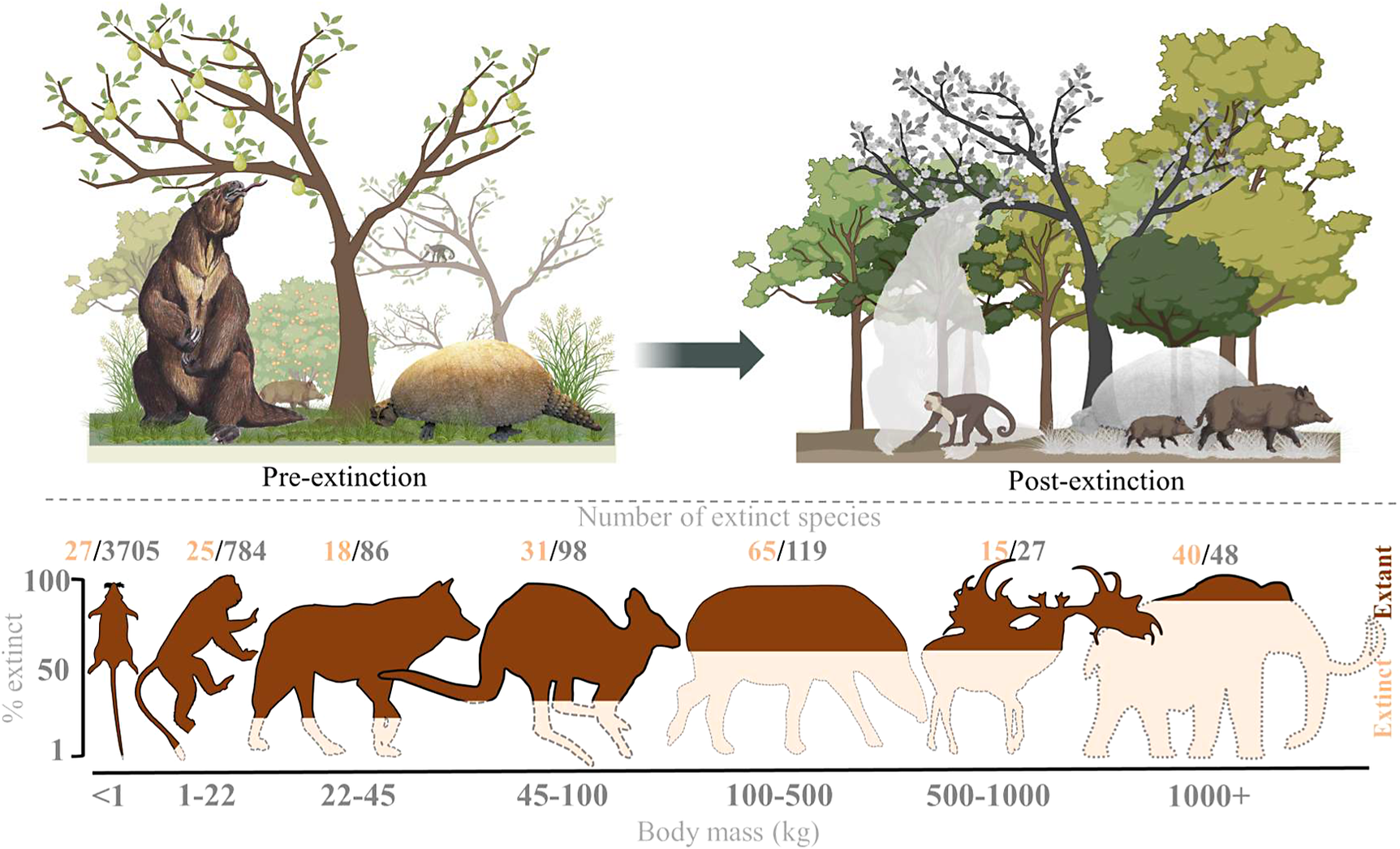 graphical abstract for The late-Quaternary megafauna extinctions: Patterns, causes, ecological consequences and implications for ecosystem management in the Anthropocene - open in full screen