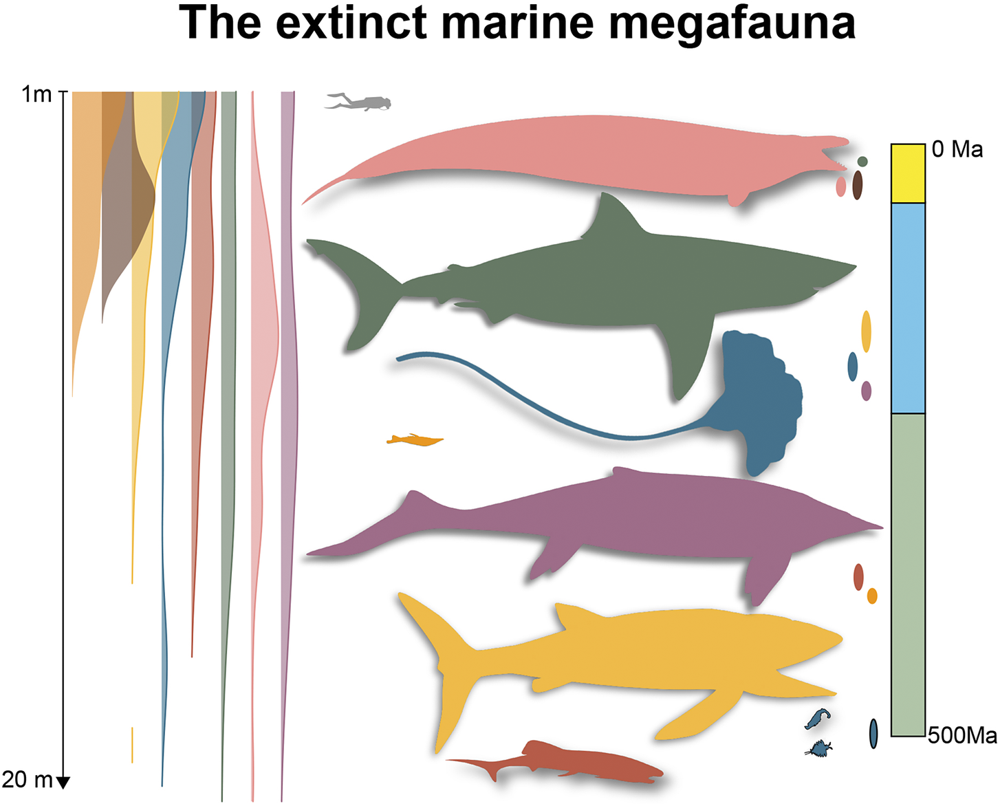 graphical abstract for The extinct marine megafauna of the Phanerozoic - open in full screen