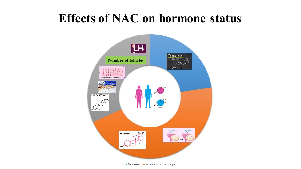 The effects of N acetylcysteine on ovulation and sex hormones