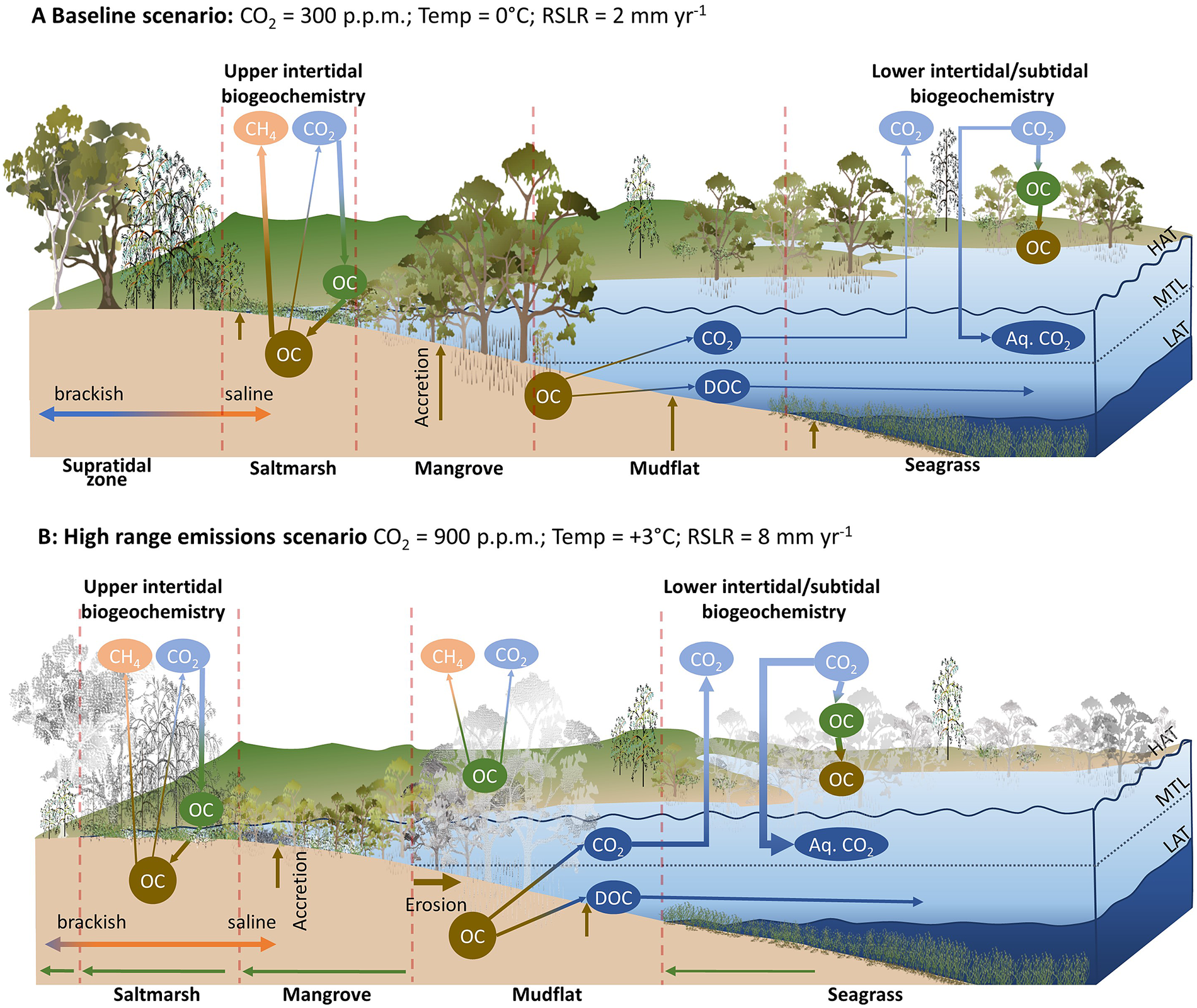 The present past and future of blue carbon Cambridge Prisms