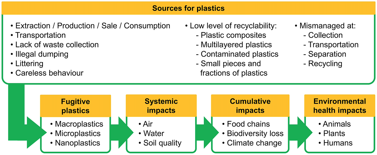 Global plastic pollution and informal waste pickers Cambridge