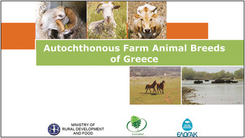 Autochthonous farm animal breeds of Greece. Greek Focal Point for the  Management of Animal Genetic Resources. Published in 2011, 44 pp. Available  in Greek and English  (/fileadmin/SITE_ERFP/country_reports/Greece ...