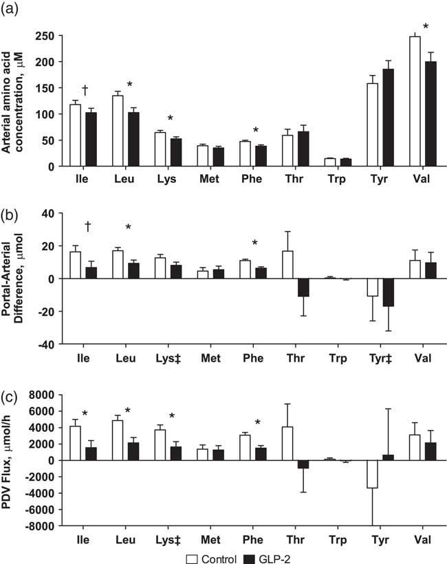 Glucagonlike peptide2 (GLP2) increases net amino acid