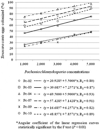 Antagonistic Activity Of The Fungus Pochonia Chlamydosporia On Mature And Immature Toxocara Canis Eggs Parasitology Cambridge Core