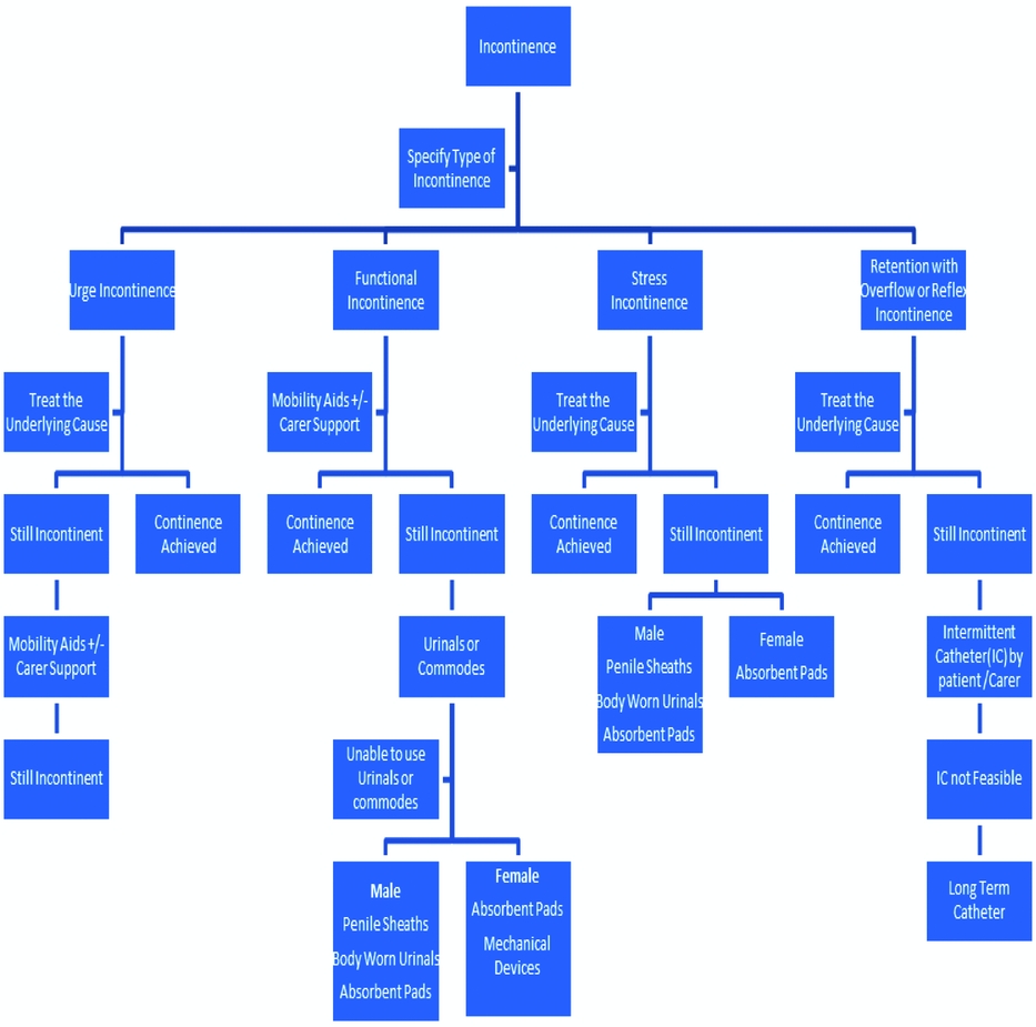 Continence aids in the management of urinary incontinence | Reviews in ...