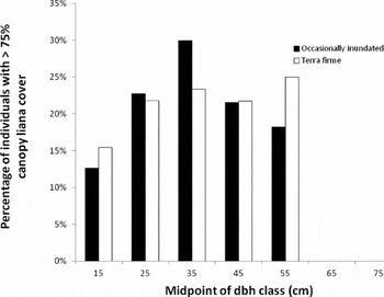 Size and crown shape predict reproductive maturity of Carapa guianensis in  upland and floodplain forests in the northeastern  - Angulo  Villacorta - Biotropica - Wiley Online Library