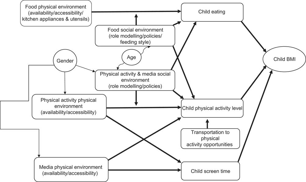 Measures of the home environment related to childhood obesity: a ...