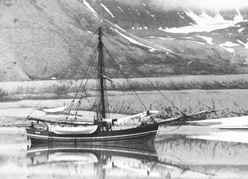 Serial slaughter: the development of the north Norwegian sealing fleet:  1859–1909, Polar Record