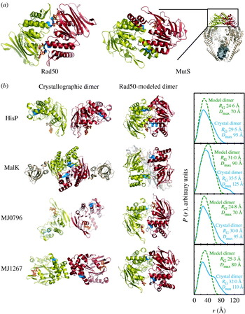 X Ray Solution Scattering Saxs Combined With Crystallography And Computation Defining Accurate Macromolecular Structures Conformations And Assemblies In Solution Quarterly Reviews Of Biophysics Cambridge Core