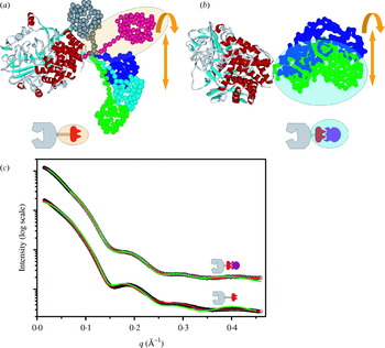 X Ray Solution Scattering Saxs Combined With Crystallography And Computation Defining Accurate Macromolecular Structures Conformations And Assemblies In Solution Quarterly Reviews Of Biophysics Cambridge Core