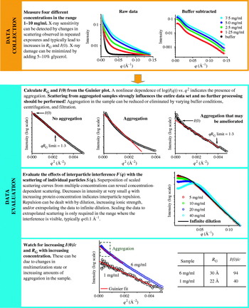 X Ray Solution Scattering Saxs Combined With Crystallography And Computation Defining Accurate Macromolecular Structures Conformations And Assemblies In Solution Quarterly Reviews Of Biophysics Cambridge Core