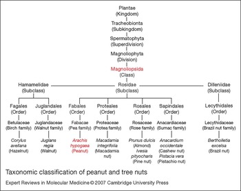 The peanut allergy epidemic: allergen molecular characterisation and ...