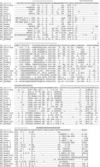 Molecular And Immunological Characterization Of Encoding Gene And 14 3 3 Protein 1 In Fasciola Gigantica Parasitology Cambridge Core