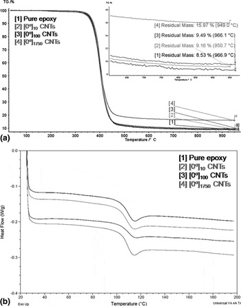 Fabrication and properties of aligned multiwalled carbon nanotube