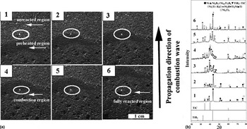 Reaction mechanism of self-propagating high-temperature synthesis