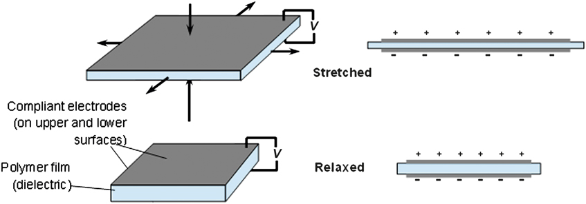 Dielectric Elastomers: Stretching The Capabilities Of Energy Harvesting ...