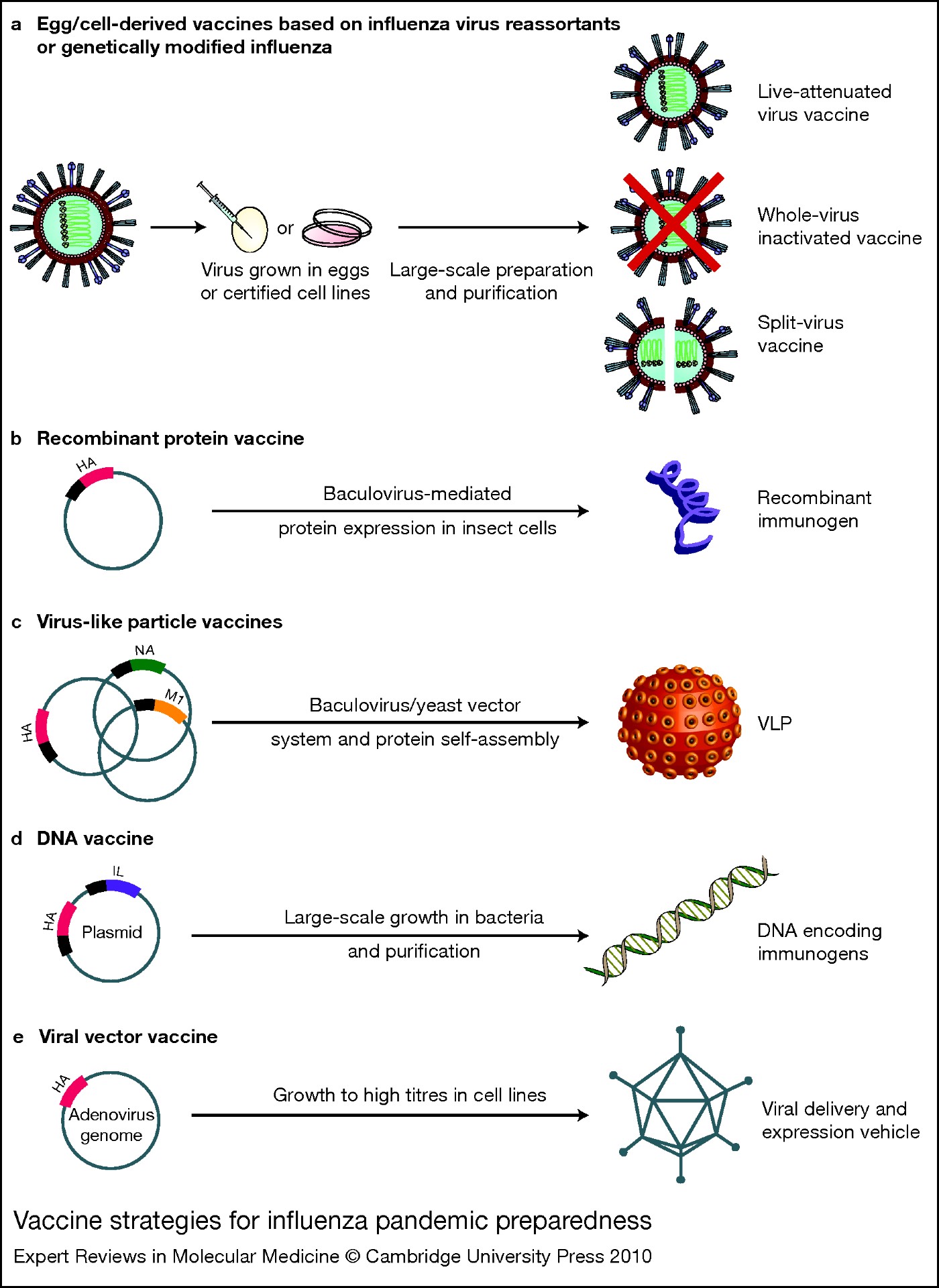 Avian Influenza Pandemic Preparedness: Developing Prepandemic And ...