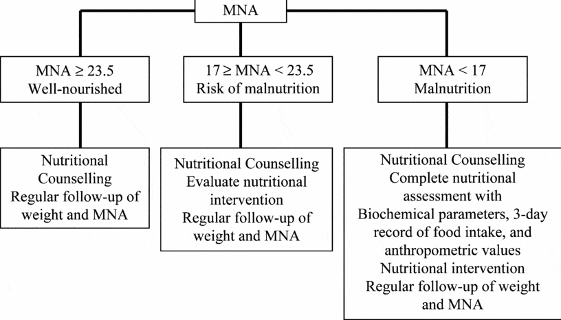 The Mini Nutritional Assessment (MNA) After 20 Years Of Research And ...