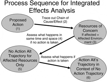 ENVIRONMENTAL REVIEW: Proximate Causation and the No Action Alternative ...