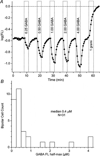 Synthesis and evaluation of avermectin–imidazo[1,2-a]pyridine