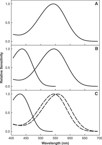 Primate color vision: A comparative perspective | Visual Neuroscience ...