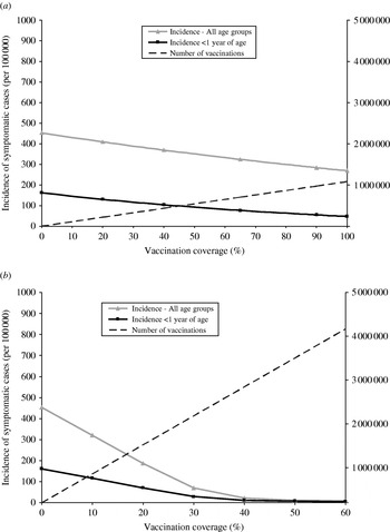 Adult pertussis vaccination strategies and their impact on