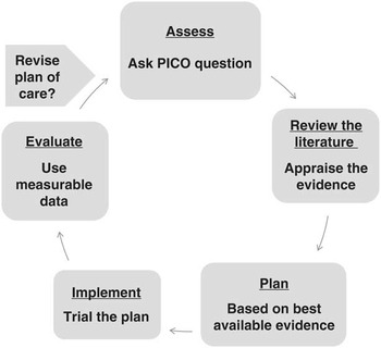 Evidence-Based Practice Application: A Goal for Anaesthetic and ...