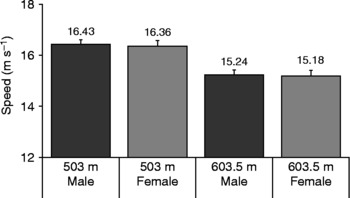 are male or female greyhounds faster