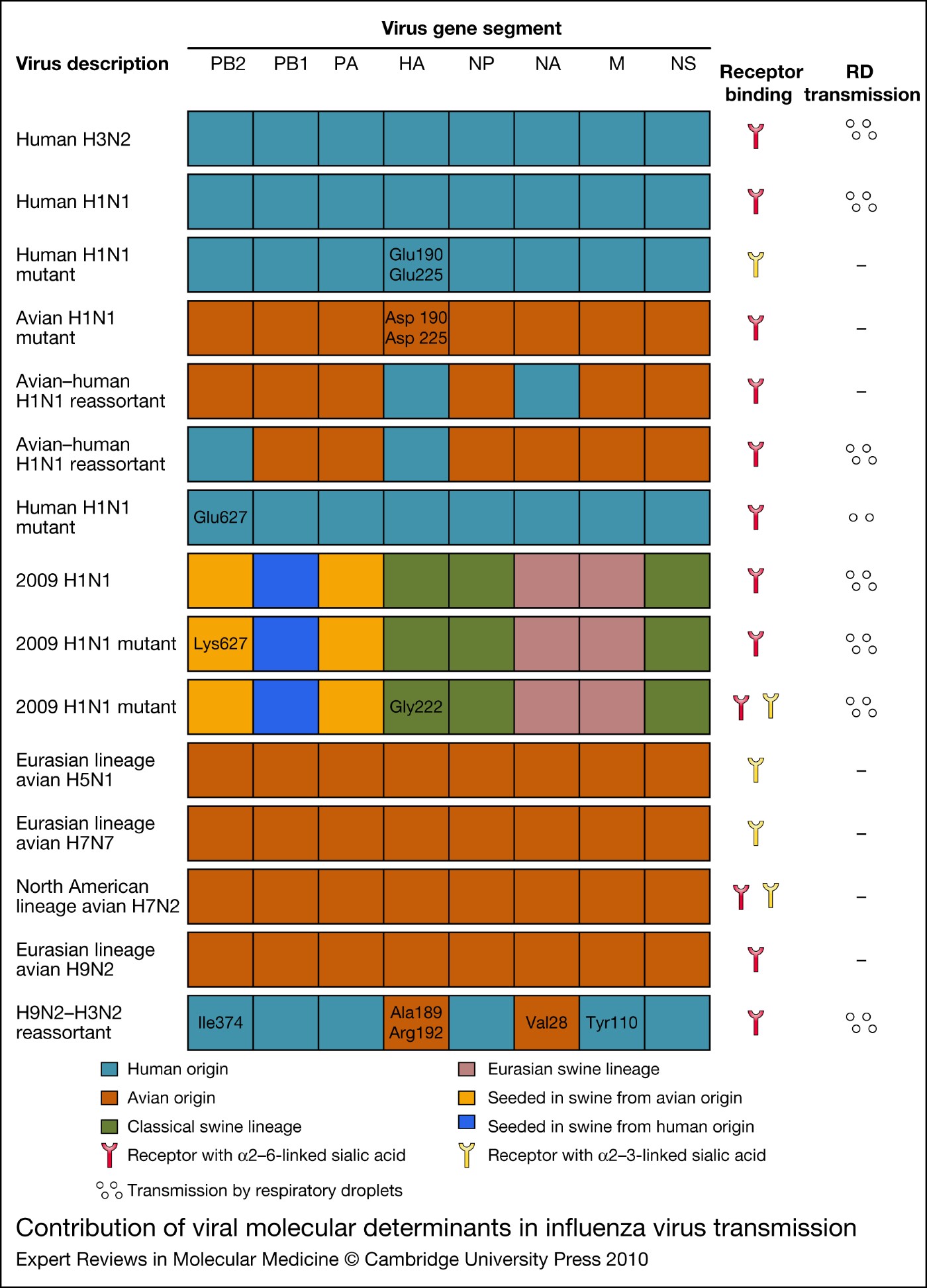 Influenza A virus transmission: contributing factors and clinical ...