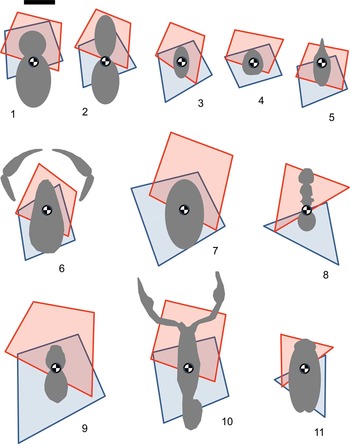 The mechanical characterization of the legs, fangs, and prosoma in