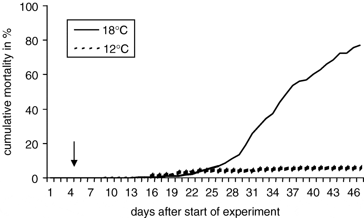 Proliferative kidney disease (PKD) of rainbow trout temperature and timerelated changes of