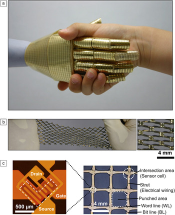 Stretchable Organic Integrated Circuits For Large-area Electronic Skin ...