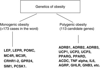 Genetics Of Obesity | Public Health Nutrition | Cambridge Core