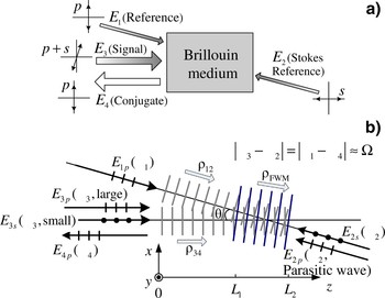 A composite phase conjugator based on Brillouin-enhanced four-wave ...