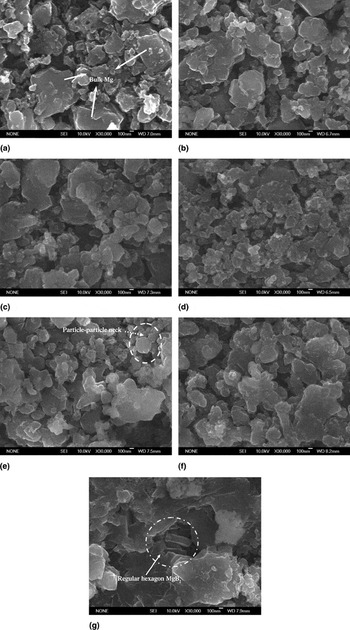 In situ formation process and mechanism of bulk MgB2 before Mg