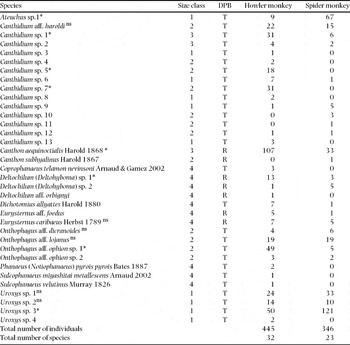 Lymphedema