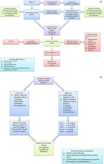 Laryngeal dysplasia: an evidence-based flowchart to guide management ...