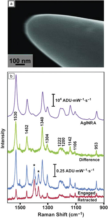 High-performance SERS Substrates: Advances And Challenges | MRS ...