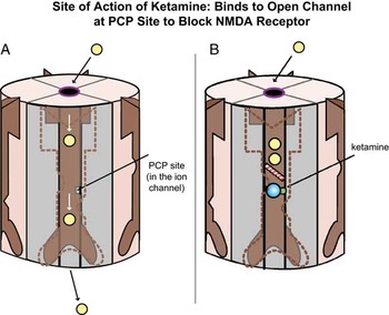 Mechanism Of Action Of Ketamine | CNS Spectrums | Cambridge Core