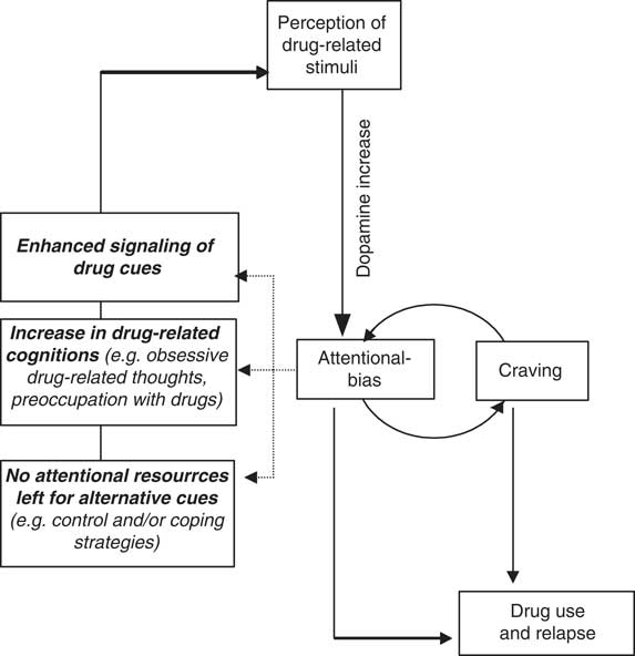 The clinical relevance of attentional bias in substance use disorders ...