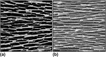 Ice-templating, Freeze Casting: Beyond Materials Processing | Journal ...