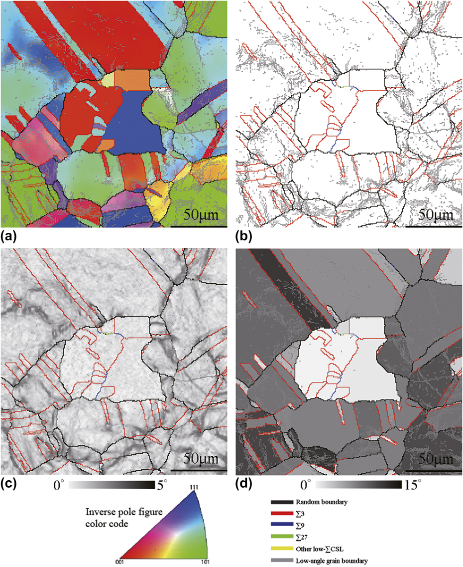 Effect of initial grain sizes on the grain boundary network during
