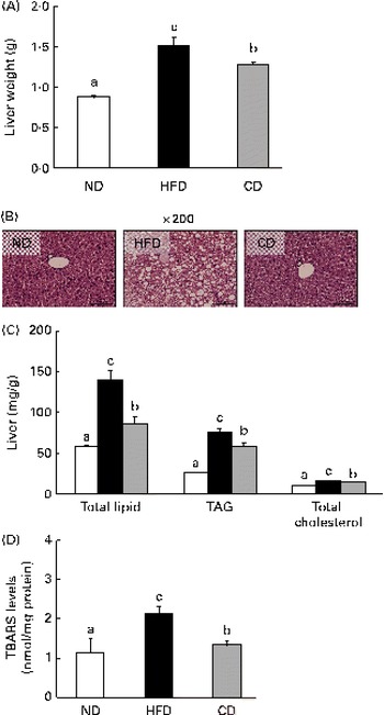Coumarin attenuates hepatic steatosis by down-regulating lipogenic 