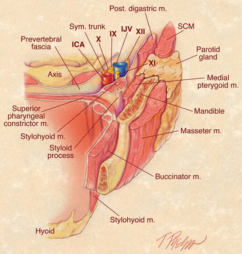 lateral pharyngeal space